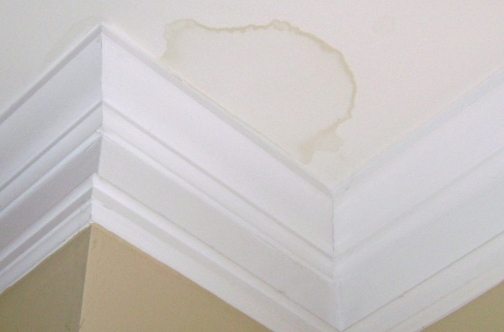 Is That Water Damage from a Roof Leak?